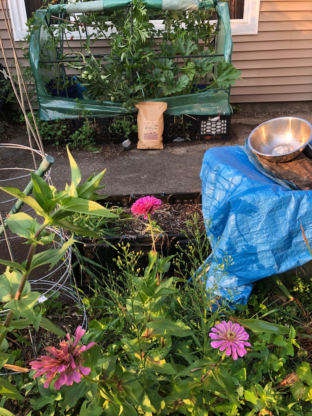 Customer photo review of BierKashi Bokashi 5 to 50 lbs