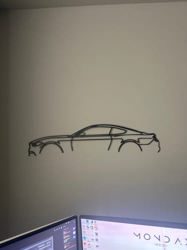 Customer photo review of Mustang GT S550 Classic Metal Silhouette