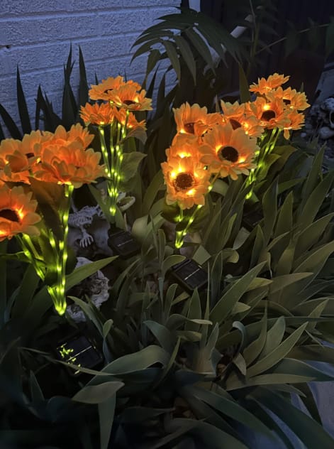 Customer photo review of GardenMate™ - Solar Sunflower LED Lights