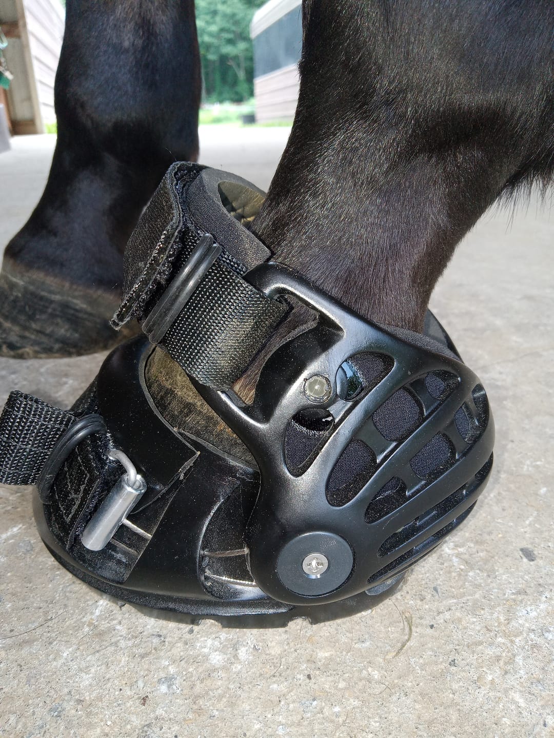 Customer photo review of Renegade® Classic Hoof Boot Seconds - Black Knight