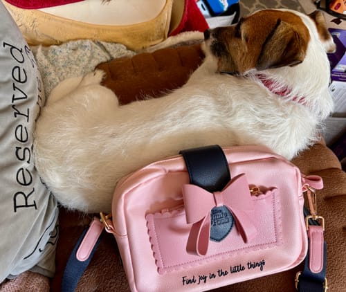 Customer photo review of Disney© Eeyore Vegan Leather Cross Body Bag