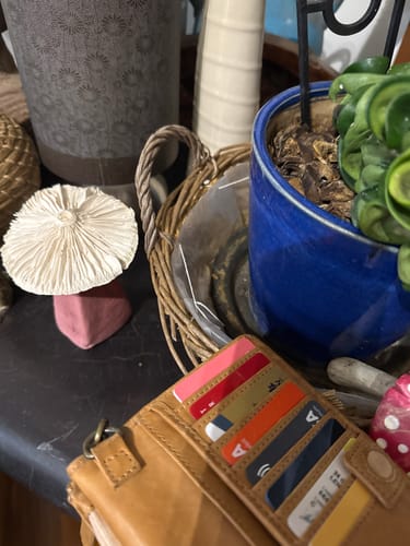 Customer photo review of Rewire Your Brain: Find Anything, Anytime (E-book)