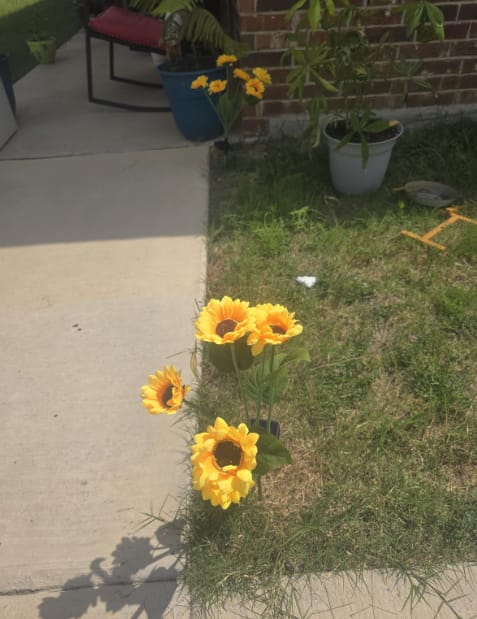 Customer photo review of GardenMate™ - Solar Sunflower LED Lights