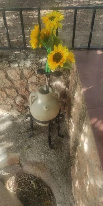 Customer photo review of GardenMate™ - Solar Sunflower LED Lights