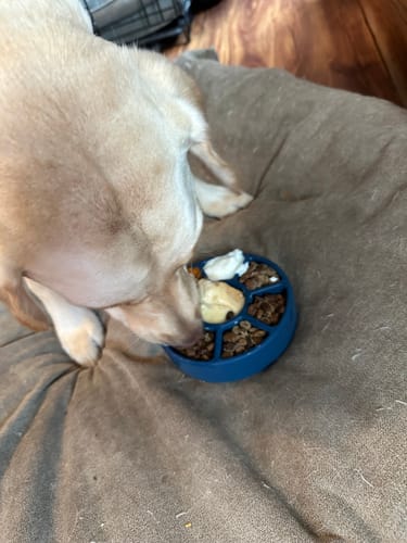Customer photo review of Ultimate Tough Chewer Dog Toy Set – 3 Durable Enrichment Bones