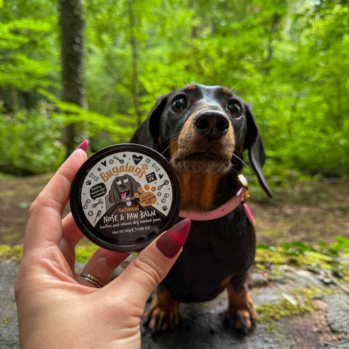 Customer photo review of Oatmeal Nose & Paw Balm Pot for Dogs