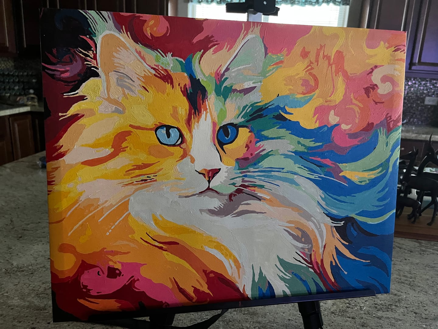 Customer photo review of Cat Rainbow