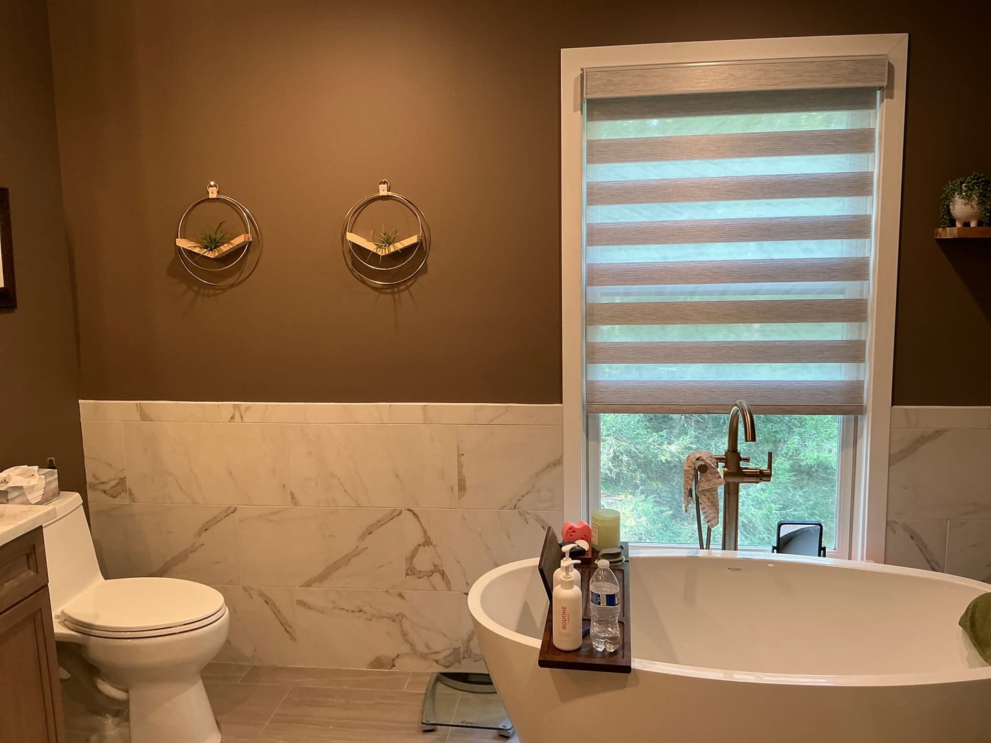 Customer photo review of Air Plant V-Hanger Duo
