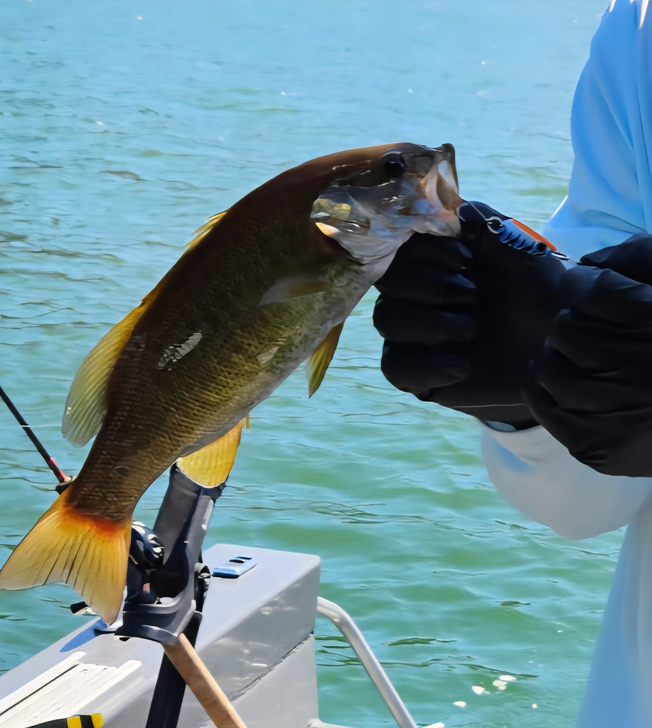 Customer photo review of Junior Trigger Spoon