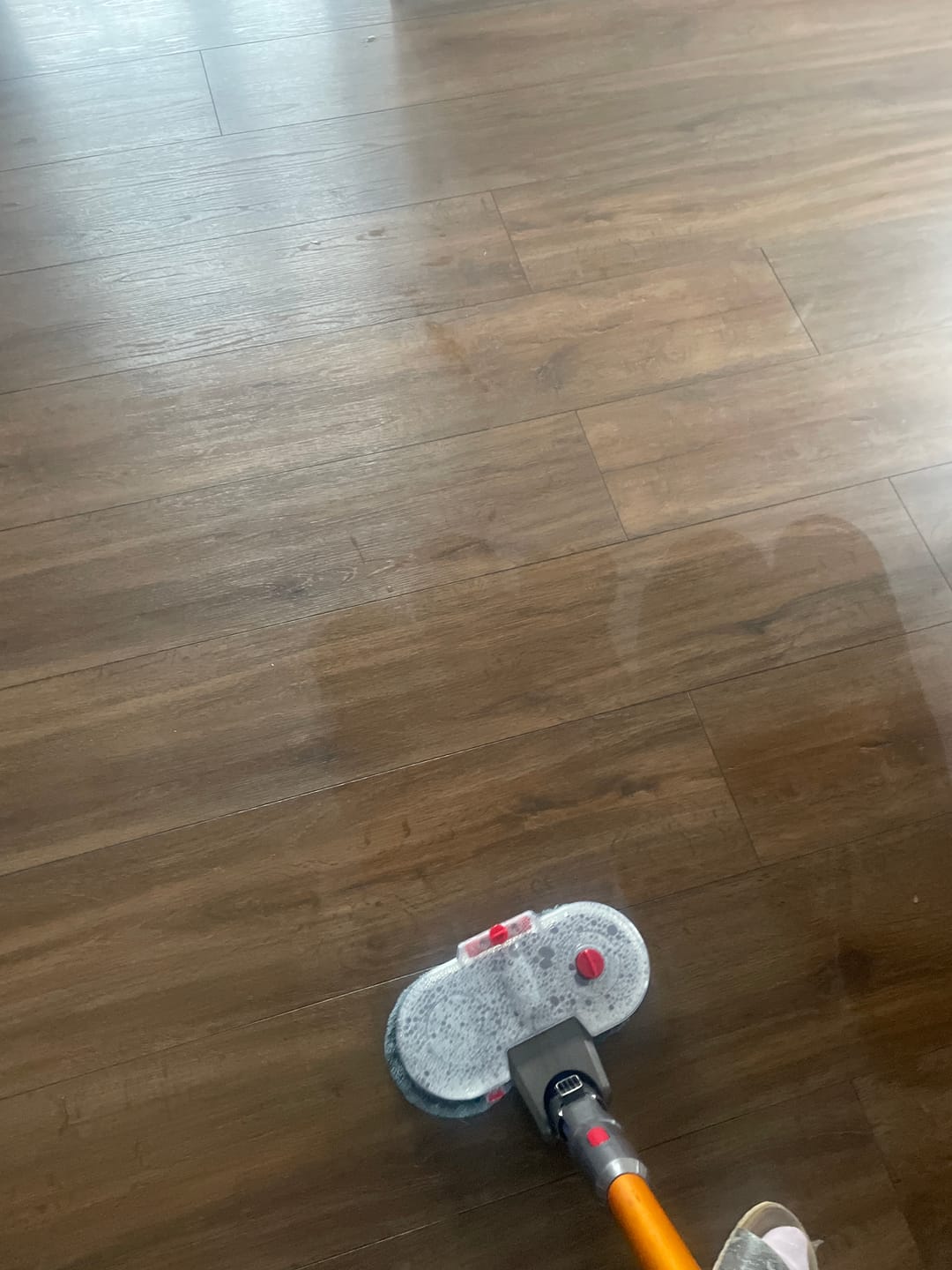 Customer photo review of 1 Paar Wischpads