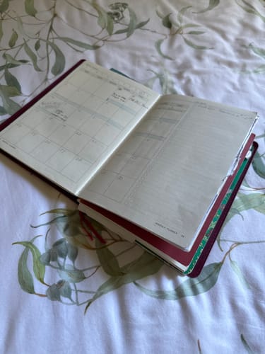 Customer photo review of Future Planner