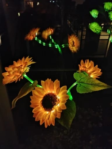 Customer photo review of GardenMate™ - Solar Sunflower LED Lights