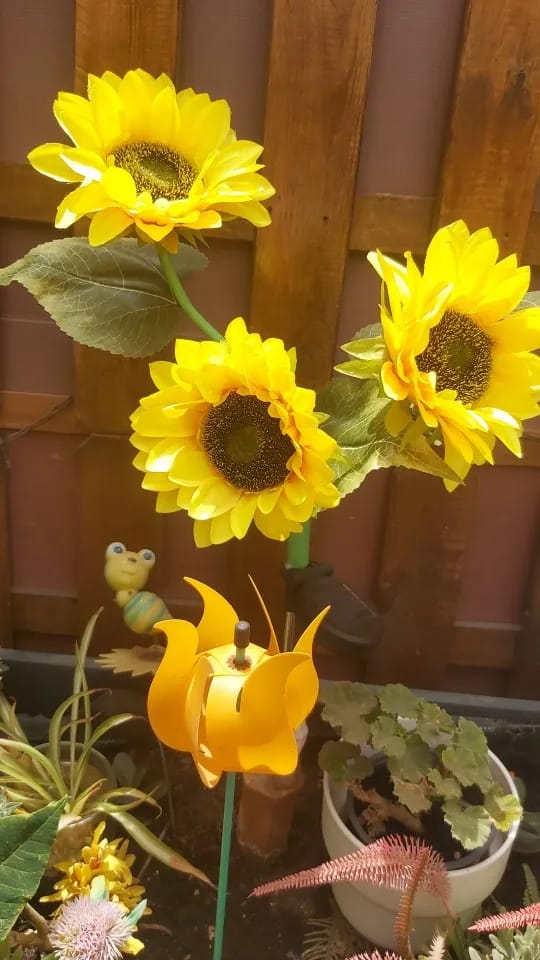 Customer photo review of GardenMate™ - Solar Sunflower LED Lights