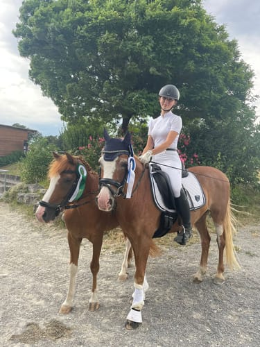 Customer photo review of Strotonin Horse Support