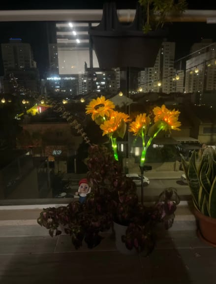 Customer photo review of GardenMate™ - Solar Sunflower LED Lights