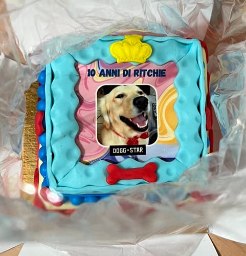 Customer photo review of Incanto per Lui Personalizzabile CON FOTO, Torta Per Cani Superiore