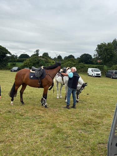 Customer photo review of Strotonin Horse Support