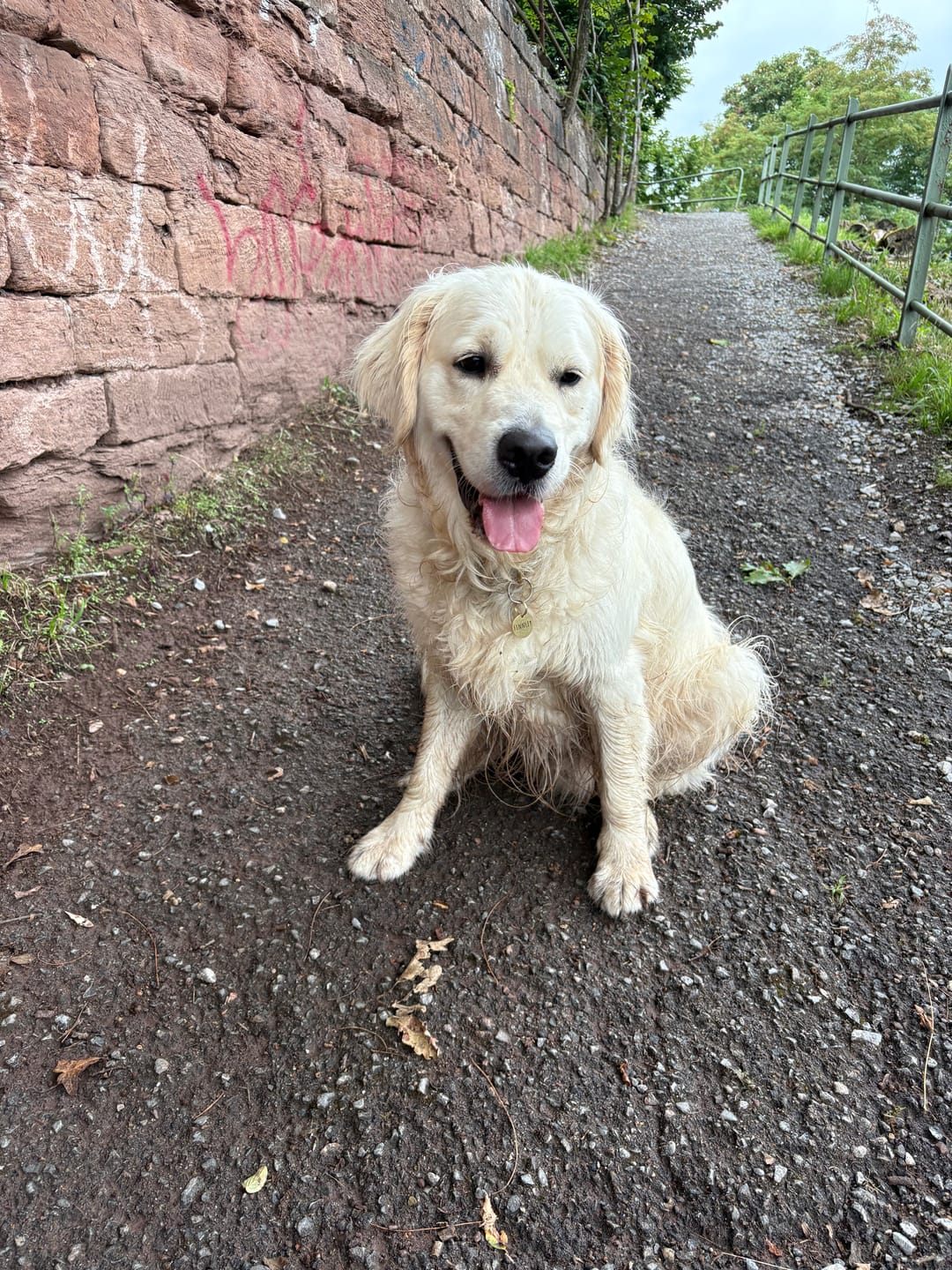 Customer photo review of Runde Hundemarke mit Gravur, Name und Telefon personalisiert
