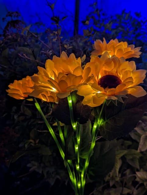 Customer photo review of GardenMate™ - Solar Sunflower LED Lights