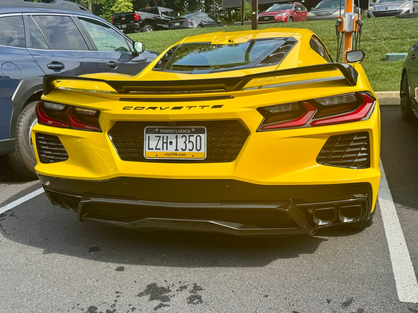 Customer photo review of Chevrolet Corvette C8 License Plate Backing