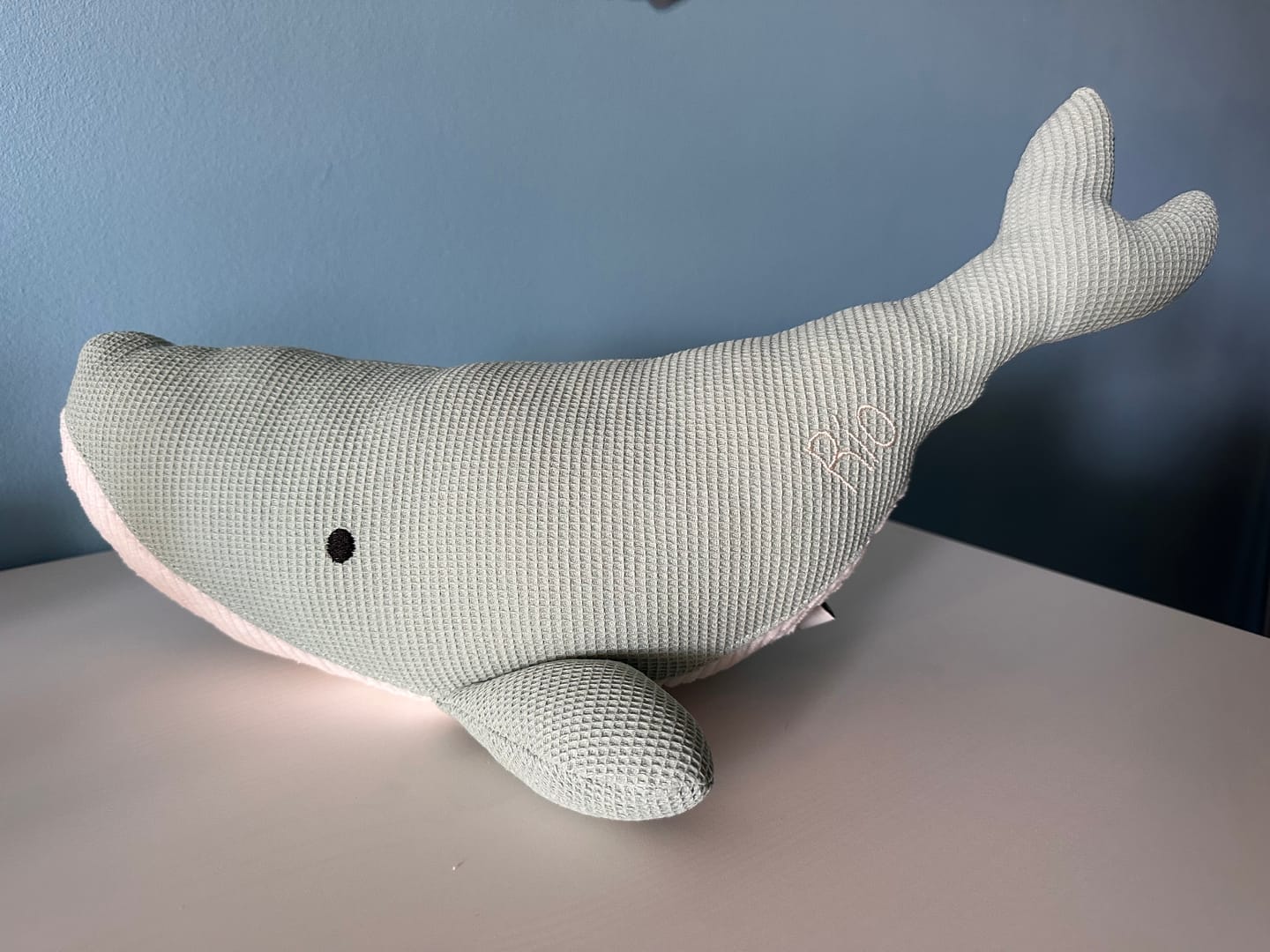 Customer photo review of Peluche Ballena Susi - MENTA