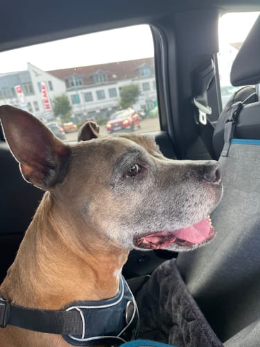 undefined review of Nature Protect image 1 out of 1