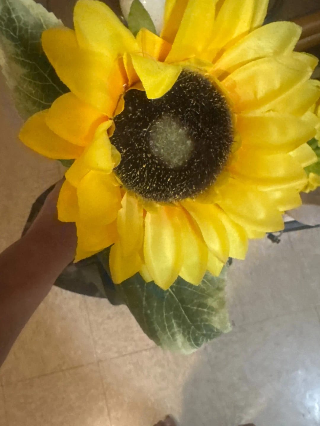 Customer photo review of GardenMate™ - Solar Sunflower LED Lights