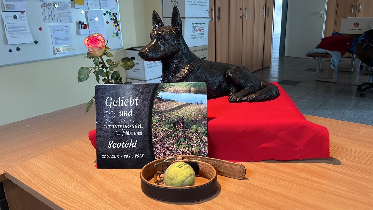 Customer photo review of Hunde Gedenktafel mit Foto & Spruch (UV- & Wetterfest)