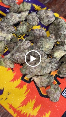 Customer video review of FREE SAMPLE (with code) THCa Flower