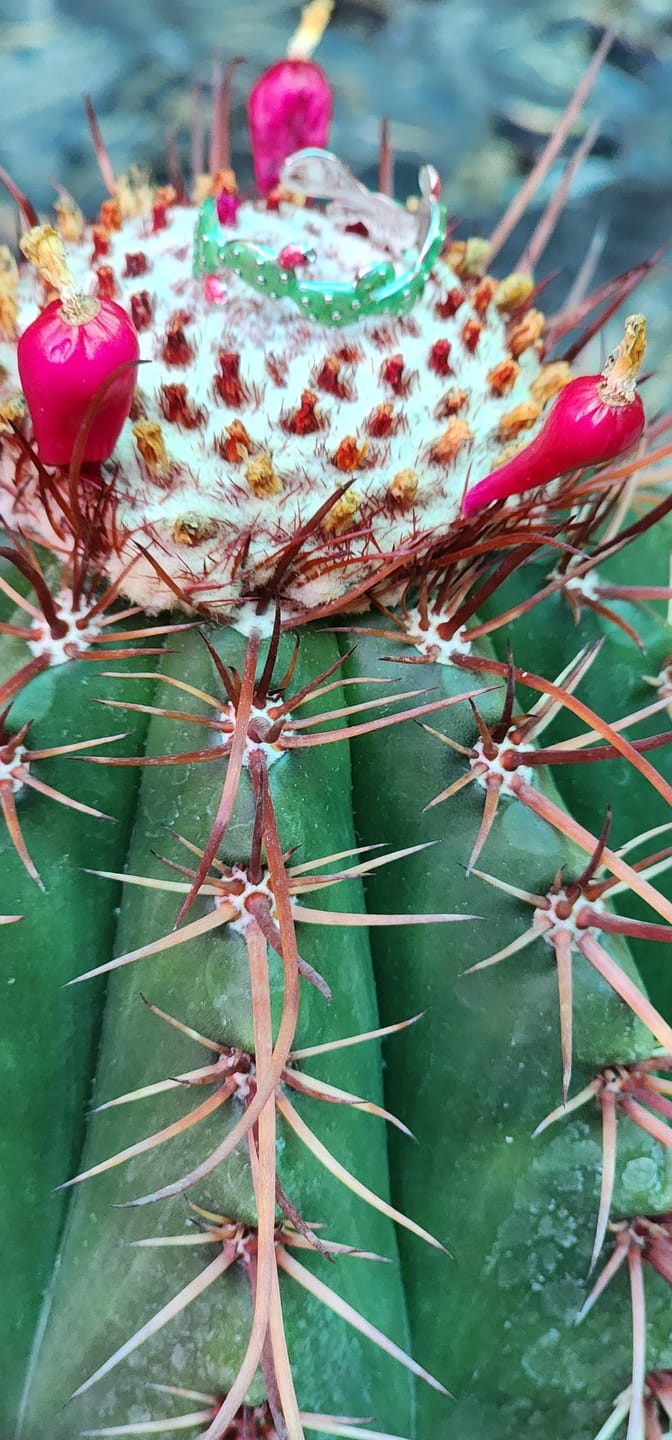 Customer photo review of Anillo Nopal - Plata .925