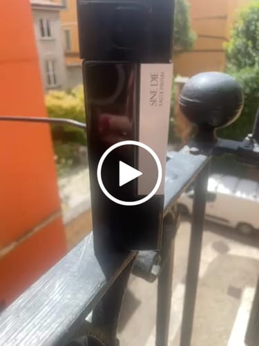 Roberta G. review of Laurent Mazzone Sine Die image 1 out of 1