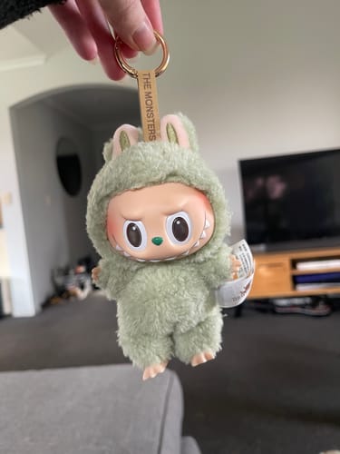 Customer photo review of Pop Mart Labubu The Monsters Tasty Macarons Vinyl Plush Pendant Single Blind Box