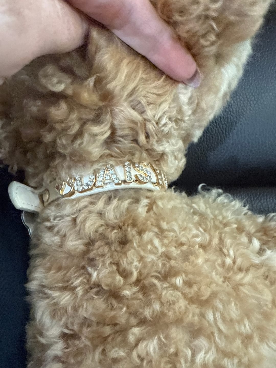 Customer photo review of Extra Charms