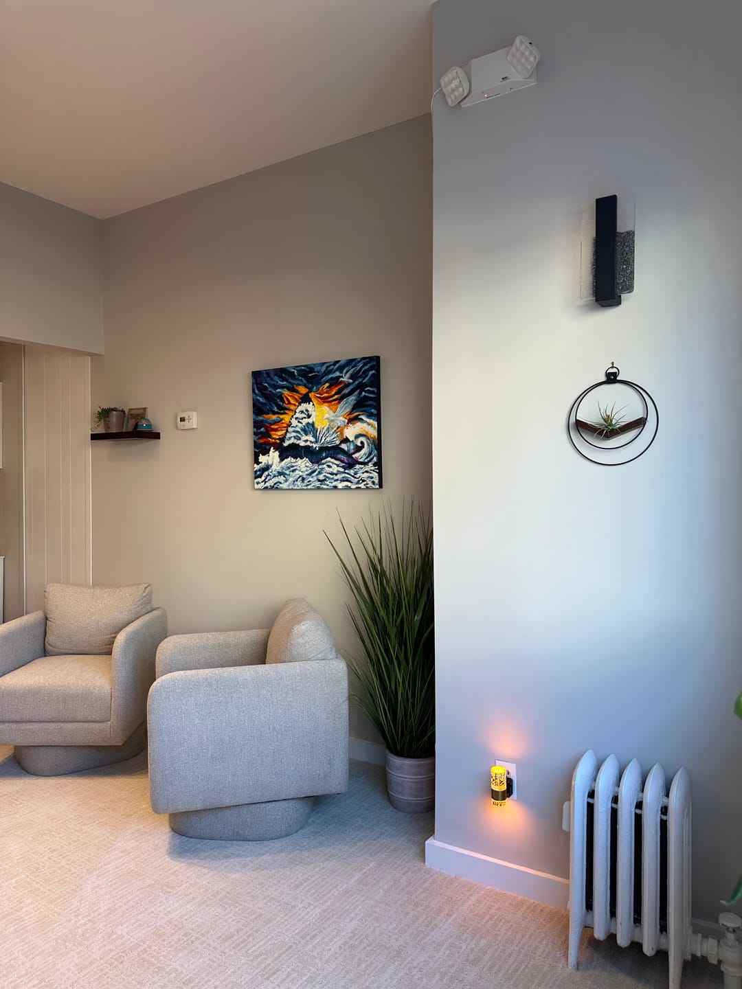 Customer photo review of Air Plant V-Hanger