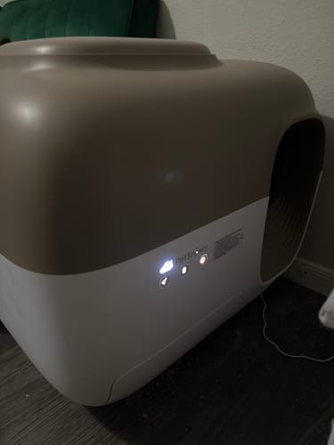 Customer photo review of Self-Cleaning Litter Box