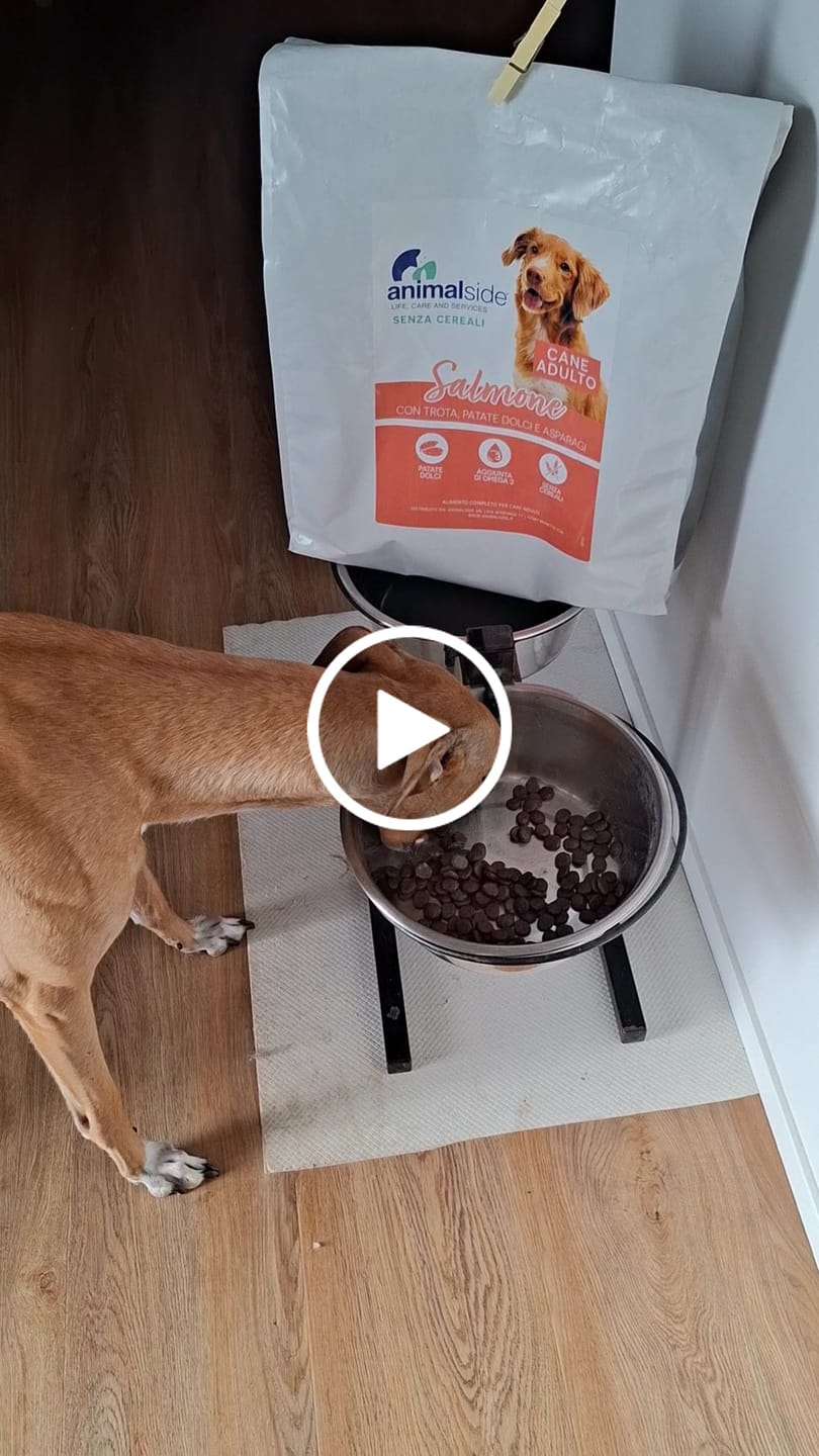 Customer video review of Linea Grain Free - Eglefino, Patate Dolci e Prezzemolo - Cane Adulto