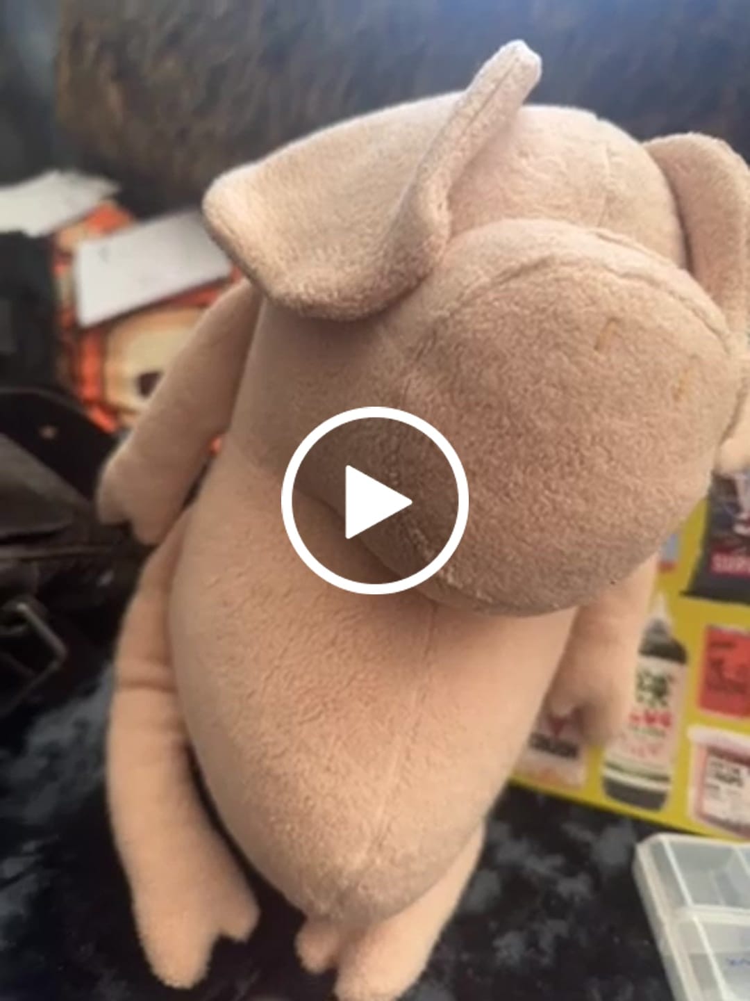 Customer video review of HELMUT LE COCHON - L