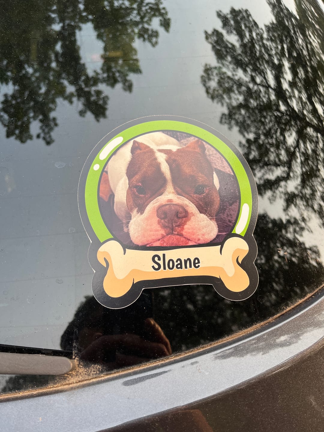 Customer photo review of Pets on board - Personalized Car Sticker