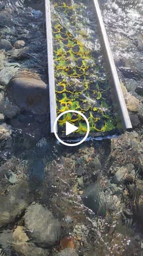 Customer video review of Sluice Mat Clamping System