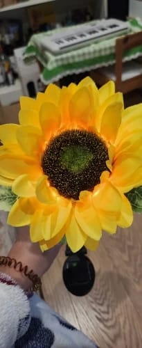 Customer photo review of GardenMate™ - Solar Sunflower LED Lights