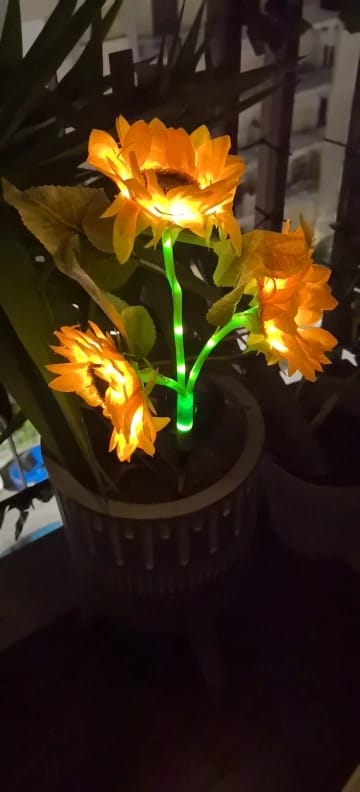 Customer photo review of GardenMate™ - Solar Sunflower LED Lights