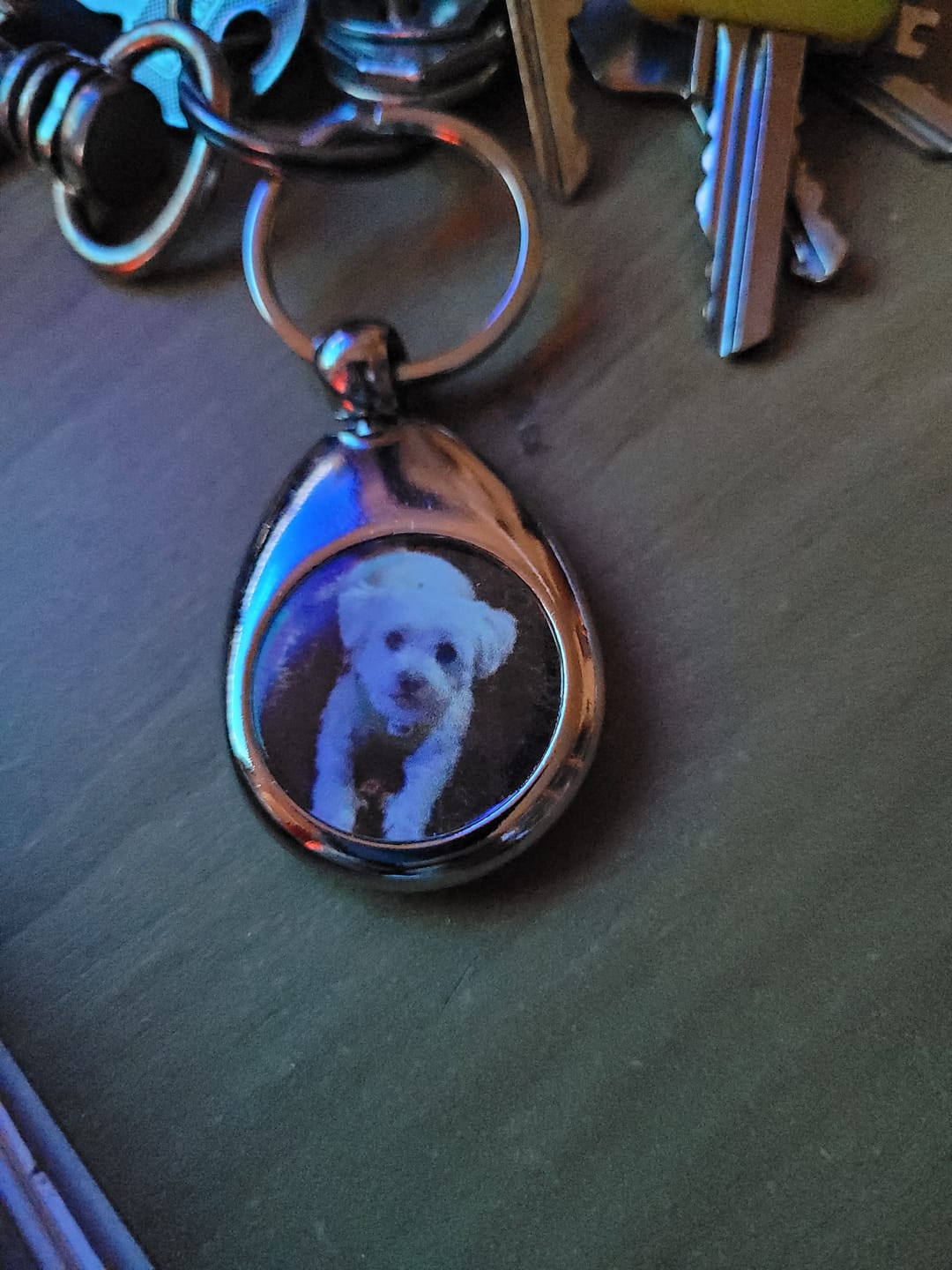 Customer photo review of Schlüsselanhänger mit Hundefoto