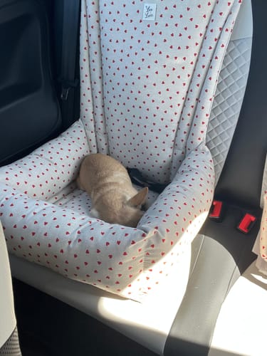 Customer photo review of Seggiolino Auto Little Love Heart