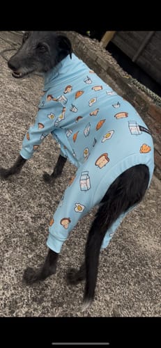 Customer photo review of Dog Pajama - Breakfast Blue