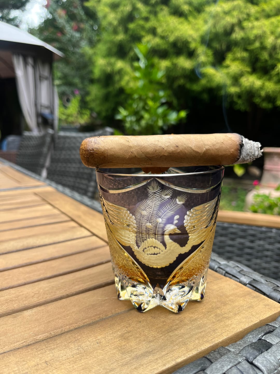 Customer photo review of The Phoenix