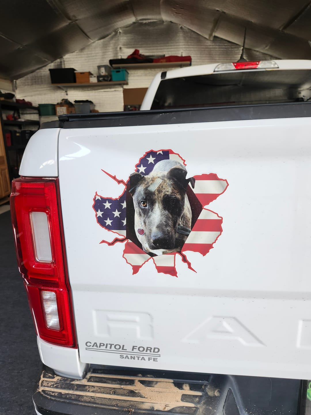 Customer photo review of Peeking photo – Personalized Car Sticker