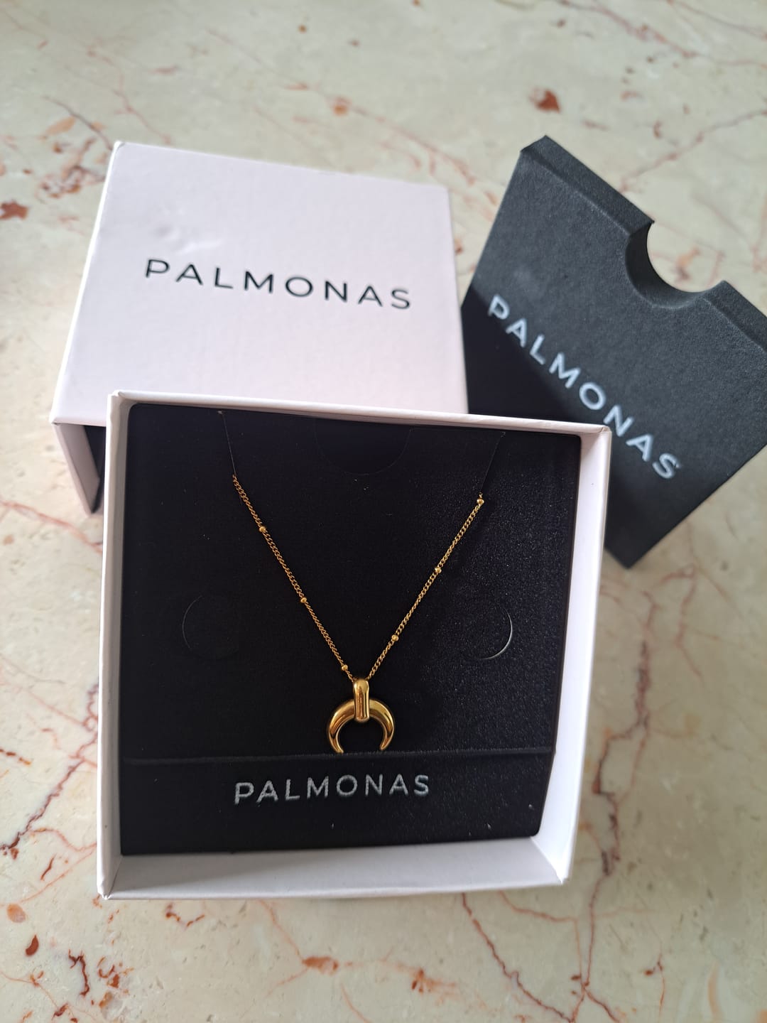 Customer photo review of Tiny Horn Necklace