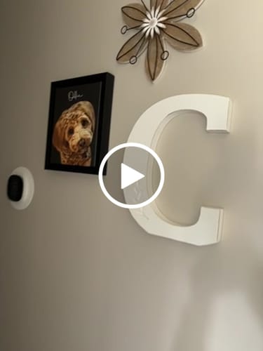 Customer video review of Pet Art Canvas Wrap