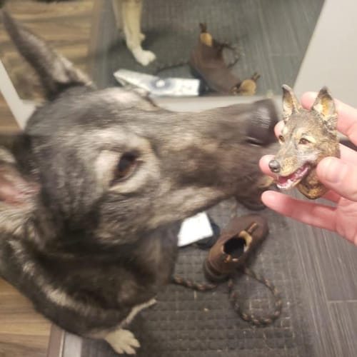 Customer photo review of Personalized Custom Pet Keychain/Magnet