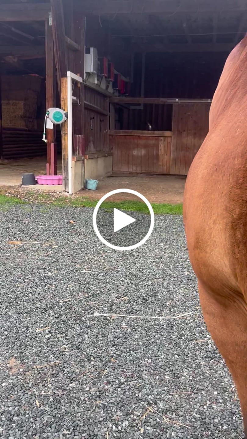Customer video review of Kristallkraft Mental Balance